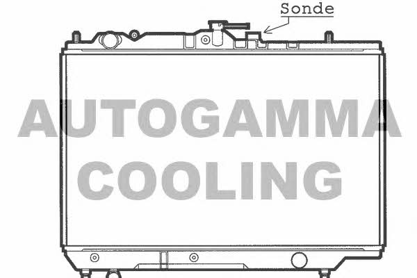 Autogamma 100487 Радіатор охолодження двигуна 100487: Приваблива ціна - Купити у Польщі на 2407.PL!