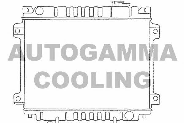 Autogamma 100494 Radiator, engine cooling 100494: Buy near me in Poland at 2407.PL - Good price!
