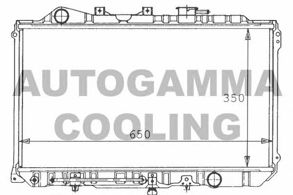 Autogamma 100496 Radiator, engine cooling 100496: Buy near me in Poland at 2407.PL - Good price!