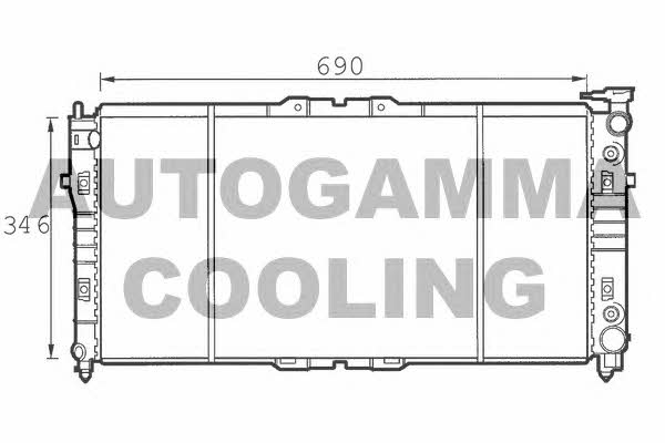 Autogamma 100501 Radiator, engine cooling 100501: Buy near me in Poland at 2407.PL - Good price!
