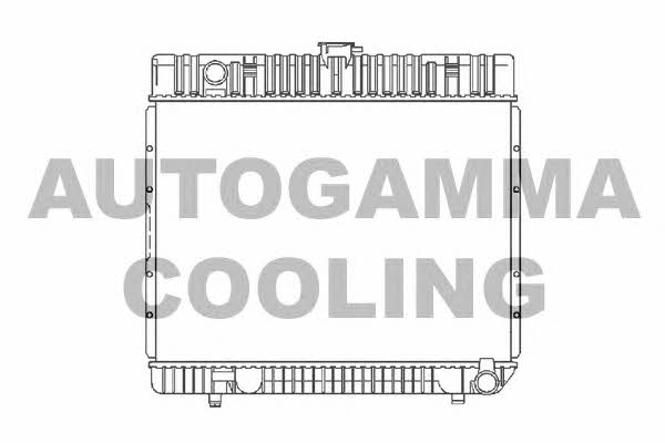 Autogamma 100532 Радіатор охолодження двигуна 100532: Приваблива ціна - Купити у Польщі на 2407.PL!