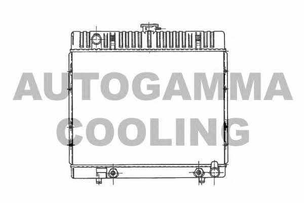 Autogamma 100533 Radiator, engine cooling 100533: Buy near me in Poland at 2407.PL - Good price!