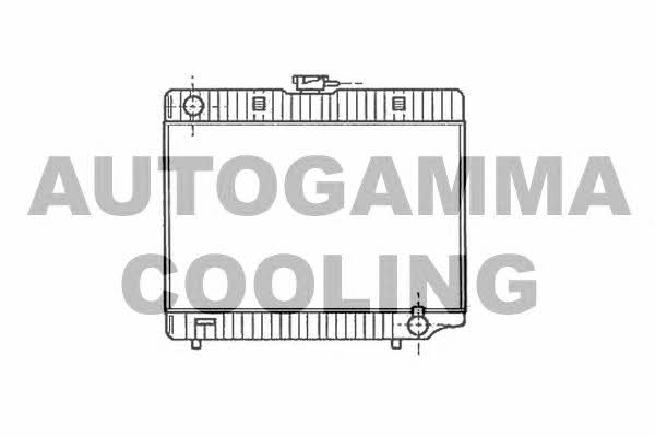 Autogamma 100534 Радіатор охолодження двигуна 100534: Купити у Польщі - Добра ціна на 2407.PL!