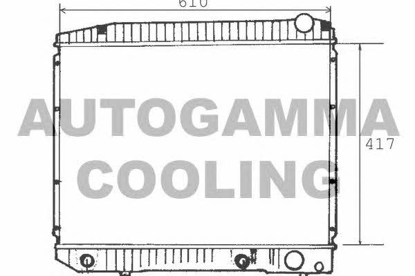 Autogamma 100560 Chłodnica, układ chłodzenia silnika 100560: Dobra cena w Polsce na 2407.PL - Kup Teraz!