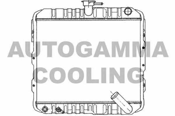 Autogamma 100566 Radiator, engine cooling 100566: Buy near me in Poland at 2407.PL - Good price!