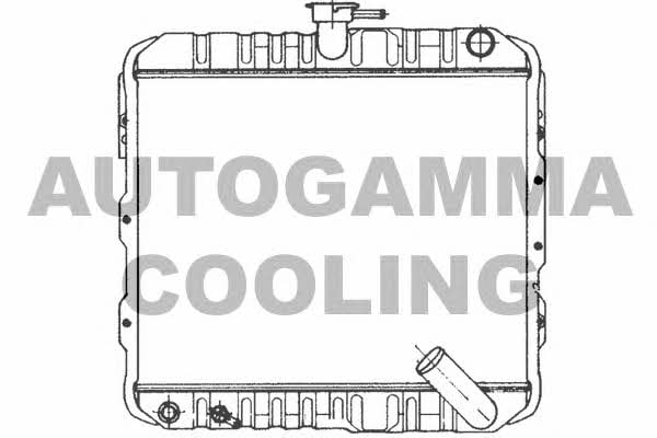 Autogamma 100566 Радиатор охлаждения двигателя 100566: Отличная цена - Купить в Польше на 2407.PL!