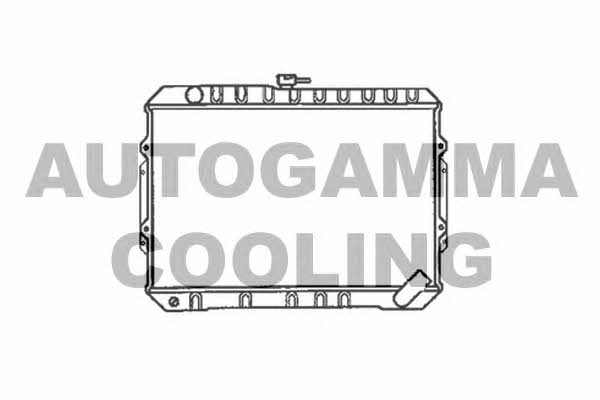 Autogamma 100595 Radiator, engine cooling 100595: Buy near me in Poland at 2407.PL - Good price!