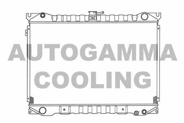 Autogamma 100611 Радиатор охлаждения двигателя 100611: Отличная цена - Купить в Польше на 2407.PL!