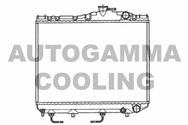 Autogamma 101035 Радіатор охолодження двигуна 101035: Приваблива ціна - Купити у Польщі на 2407.PL!