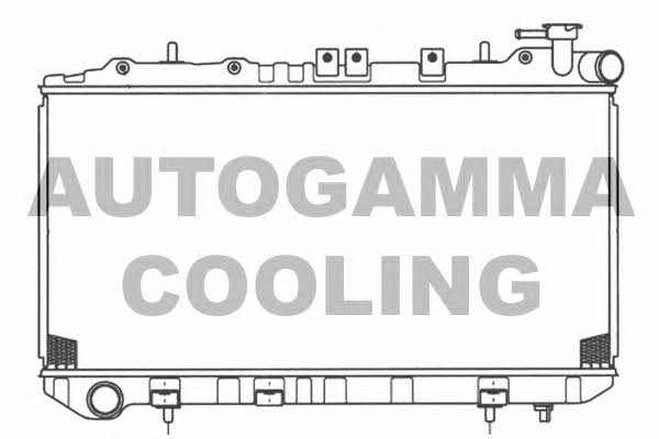 Autogamma 100650 Радиатор охлаждения двигателя 100650: Отличная цена - Купить в Польше на 2407.PL!