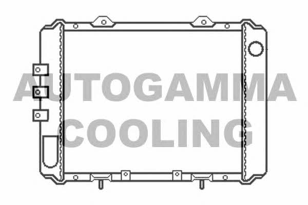 Autogamma 100651 Radiator, engine cooling 100651: Buy near me in Poland at 2407.PL - Good price!