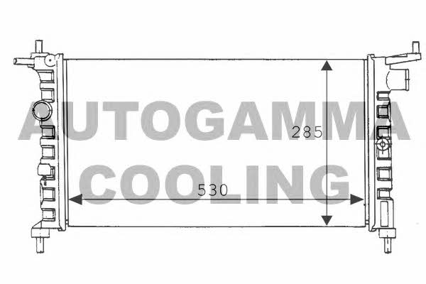 Autogamma 100674 Радиатор охлаждения двигателя 100674: Отличная цена - Купить в Польше на 2407.PL!