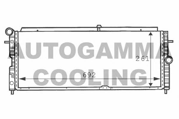 Autogamma 100707 Радиатор охлаждения двигателя 100707: Отличная цена - Купить в Польше на 2407.PL!