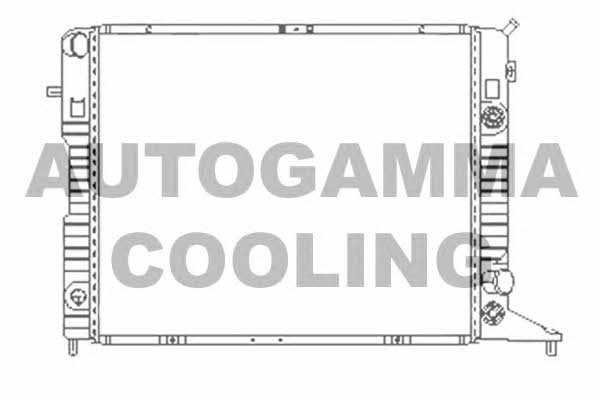 Autogamma 100711 Радіатор охолодження двигуна 100711: Приваблива ціна - Купити у Польщі на 2407.PL!