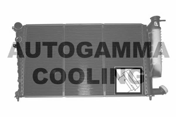 Autogamma 100756 Chłodnica, układ chłodzenia silnika 100756: Dobra cena w Polsce na 2407.PL - Kup Teraz!