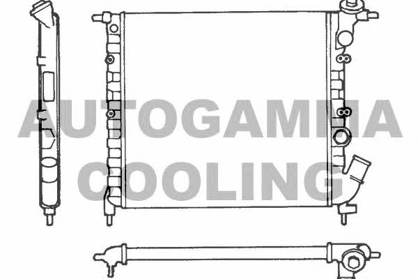 Autogamma 100848 Radiator, engine cooling 100848: Buy near me in Poland at 2407.PL - Good price!