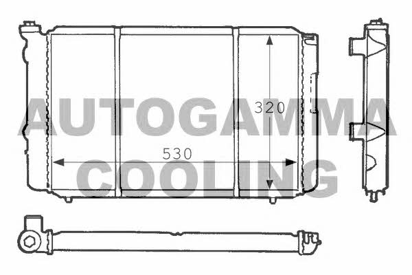 Autogamma 100862 Радиатор охлаждения двигателя 100862: Отличная цена - Купить в Польше на 2407.PL!