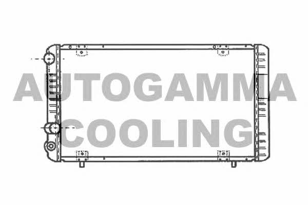 Autogamma 100879 Radiator, engine cooling 100879: Buy near me in Poland at 2407.PL - Good price!