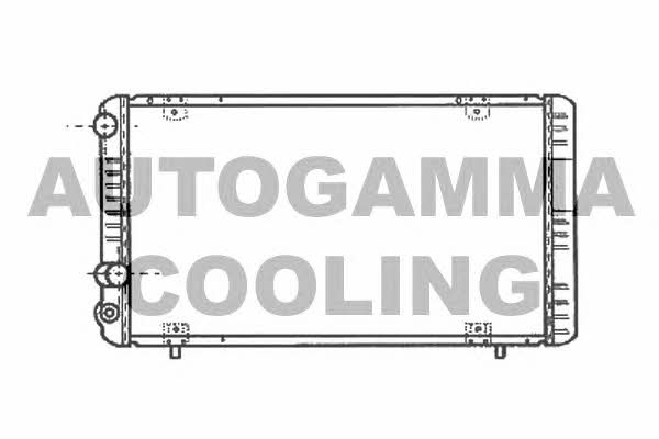 Autogamma 100879 Chłodnica, układ chłodzenia silnika 100879: Dobra cena w Polsce na 2407.PL - Kup Teraz!