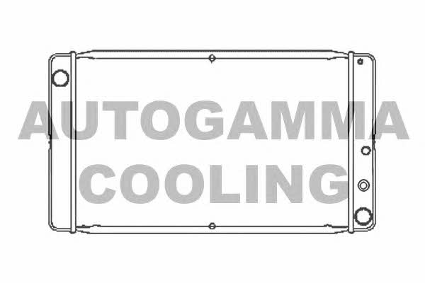 Autogamma 101103 Радиатор охлаждения двигателя 101103: Отличная цена - Купить в Польше на 2407.PL!
