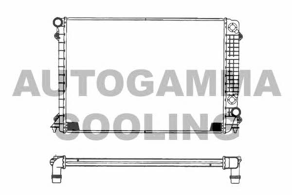 Autogamma 101118 Radiator, engine cooling 101118: Buy near me in Poland at 2407.PL - Good price!