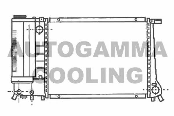 Autogamma 101121 Radiator, engine cooling 101121: Buy near me in Poland at 2407.PL - Good price!