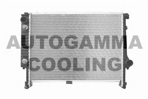 Autogamma 101124 Radiator, engine cooling 101124: Buy near me at 2407.PL in Poland at an Affordable price!