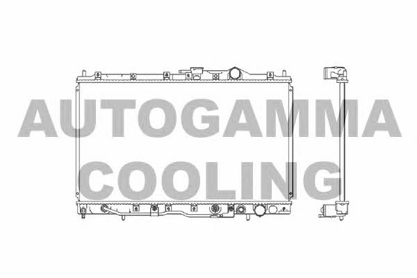 Autogamma 101133 Радіатор охолодження двигуна 101133: Приваблива ціна - Купити у Польщі на 2407.PL!