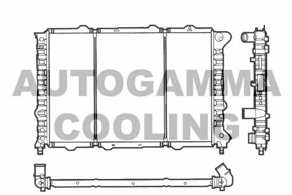 Autogamma 101146 Kühler motorkühlung 101146: Kaufen Sie zu einem guten Preis in Polen bei 2407.PL!