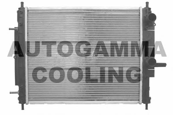 Autogamma 101171 Радиатор охлаждения двигателя 101171: Отличная цена - Купить в Польше на 2407.PL!