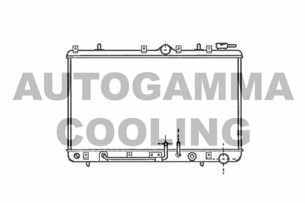 Autogamma 101204 Радиатор охлаждения двигателя 101204: Отличная цена - Купить в Польше на 2407.PL!