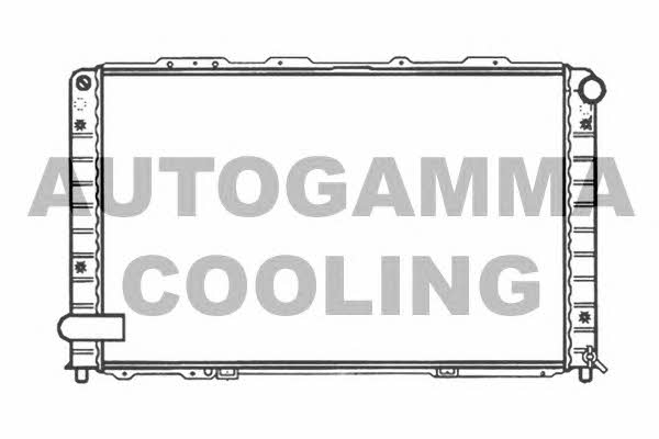 Autogamma 101214 Kühler motorkühlung 101214: Kaufen Sie zu einem guten Preis in Polen bei 2407.PL!