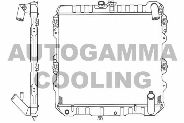 Autogamma 101216 Радіатор охолодження двигуна 101216: Приваблива ціна - Купити у Польщі на 2407.PL!