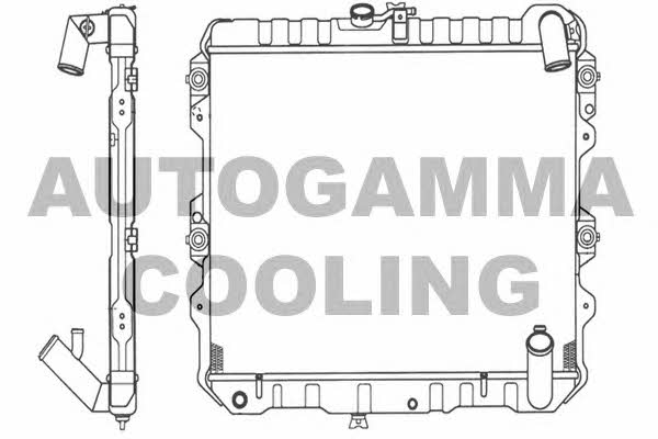 Autogamma 101216 Радиатор охлаждения двигателя 101216: Отличная цена - Купить в Польше на 2407.PL!
