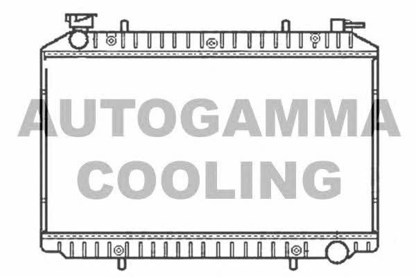 Autogamma 101222 Радіатор охолодження двигуна 101222: Приваблива ціна - Купити у Польщі на 2407.PL!