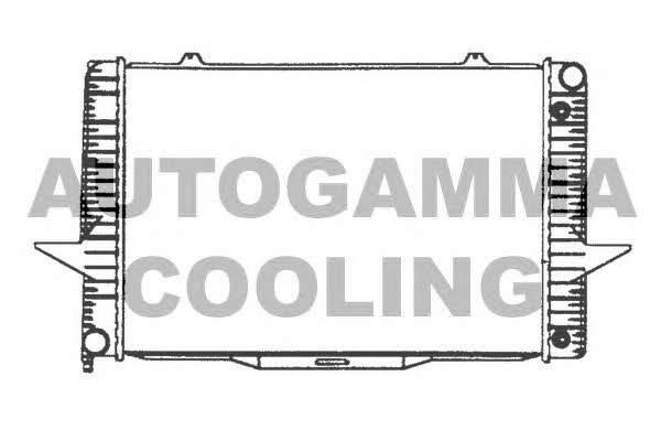 Autogamma 101292 Радиатор охлаждения двигателя 101292: Отличная цена - Купить в Польше на 2407.PL!