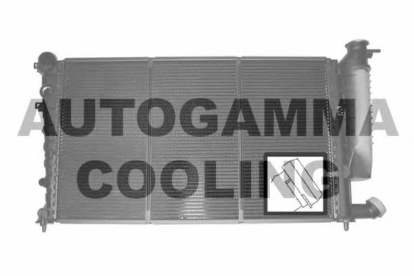 Autogamma 101313 Radiator, engine cooling 101313: Buy near me in Poland at 2407.PL - Good price!