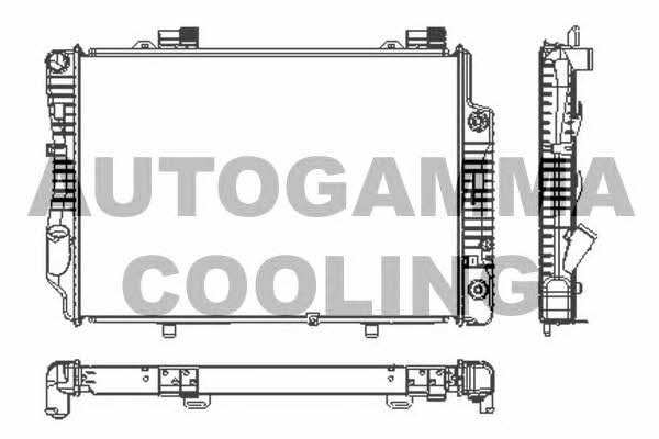 Autogamma 101317 Radiator, engine cooling 101317: Buy near me in Poland at 2407.PL - Good price!