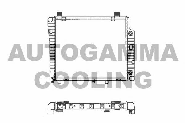 Autogamma 101319 Radiator, engine cooling 101319: Buy near me in Poland at 2407.PL - Good price!