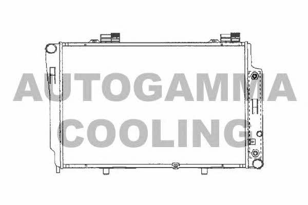 Autogamma 101320 Radiator, engine cooling 101320: Buy near me in Poland at 2407.PL - Good price!