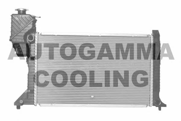 Autogamma 101323 Radiator, engine cooling 101323: Buy near me in Poland at 2407.PL - Good price!