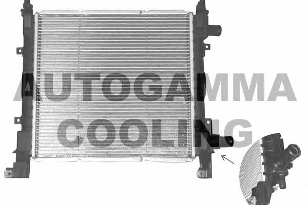 Autogamma 101332 Radiator, engine cooling 101332: Buy near me in Poland at 2407.PL - Good price!