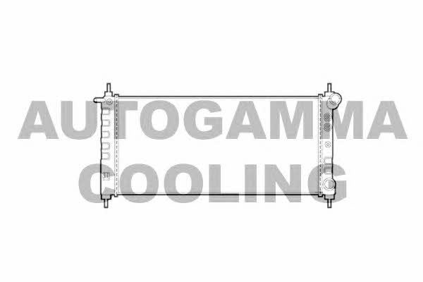 Autogamma 101337 Радіатор охолодження двигуна 101337: Приваблива ціна - Купити у Польщі на 2407.PL!