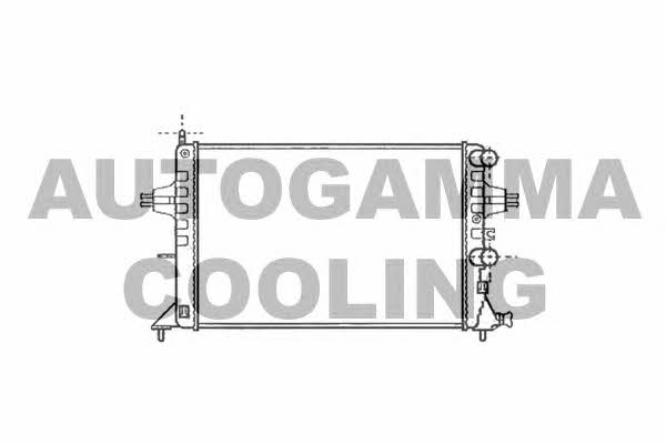 Autogamma 101338 Радиатор охлаждения двигателя 101338: Отличная цена - Купить в Польше на 2407.PL!
