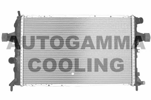 Autogamma 101341 Radiator, engine cooling 101341: Buy near me in Poland at 2407.PL - Good price!