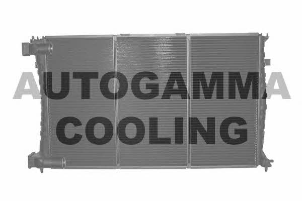 Autogamma 101343 Радиатор охлаждения двигателя 101343: Отличная цена - Купить в Польше на 2407.PL!