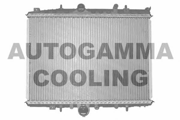 Autogamma 101348 Радиатор охлаждения двигателя 101348: Отличная цена - Купить в Польше на 2407.PL!