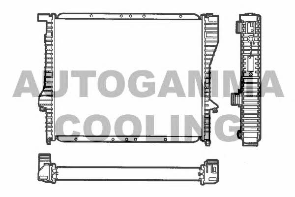 Autogamma 101362 Radiator, engine cooling 101362: Buy near me in Poland at 2407.PL - Good price!