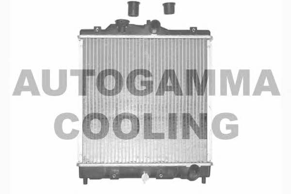 Autogamma 101372 Радиатор охлаждения двигателя 101372: Отличная цена - Купить в Польше на 2407.PL!