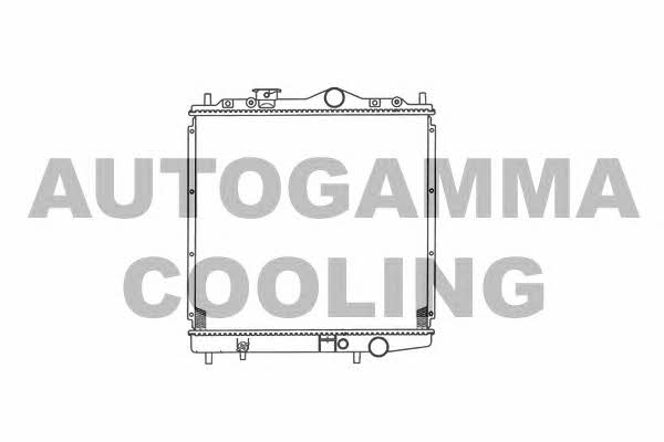 Autogamma 101435 Радиатор охлаждения двигателя 101435: Отличная цена - Купить в Польше на 2407.PL!
